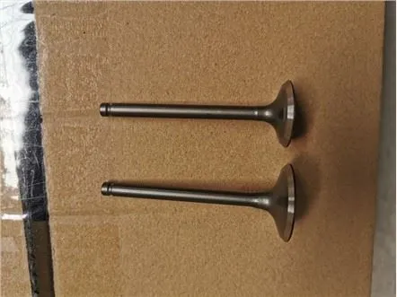 SHINERAY XY125-8X שסתום מנוע פליטה לאופנוע